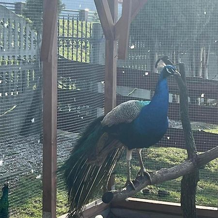 Agrotourist Maryska Male Lezno Villa Екстериор снимка