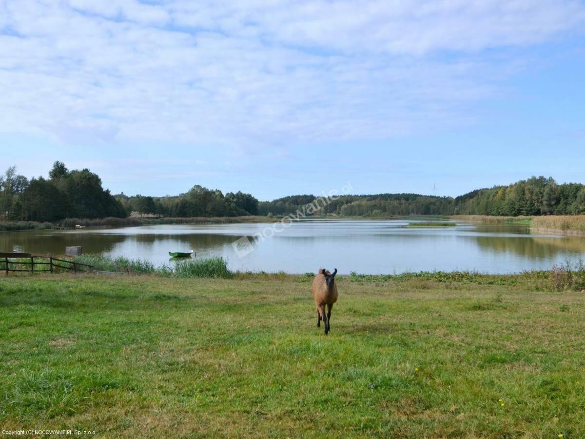 Agrotourist Maryska Male Lezno Villa Екстериор снимка